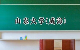 2024山东大学(威海)录取分数线：新疆最低530分