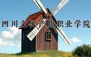 2025年四川文化产业职业学院在四川计划招生人数（附学费及专业录取分)