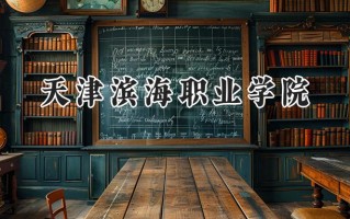 2024天津滨海职业学院录取分数线：陕西最低340分