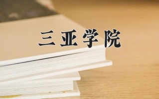 辽宁考生多少分能上三亚学院？2025最低386分