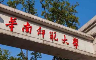 广东考生599分物理类能上什么大学？ 附2024年能上的院校名单