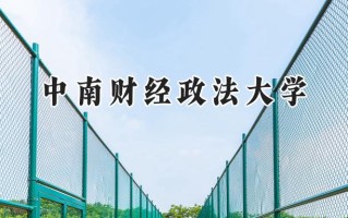 中南财经政法大学2024在新疆录取分数线是多少？最低490分/最高548分