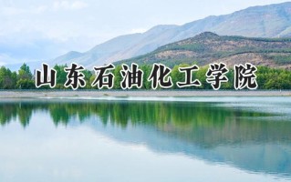山东石油化工学院2024在浙江录取分数线是多少？最低498分/最高581分