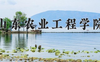 山东农业工程学院王牌专业排名-含2024年全国各省录取最低分数线