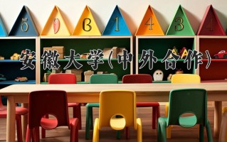 2024安徽大学(中外合作)录取分数线，重庆录取最低分555