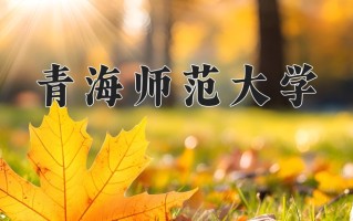 2024年青海师范大学录取分数线，新疆最低355分