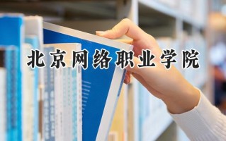 2024北京网络职业学院录取分数线：河南最低228分