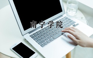 2024年南宁学院录取分数线，河北最低453分