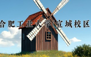 2024合肥工业大学(宣城校区)录取分数线，重庆录取最低分564
