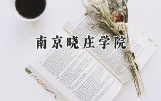 2024南京晓庄学院录取分数线：山西最低501分