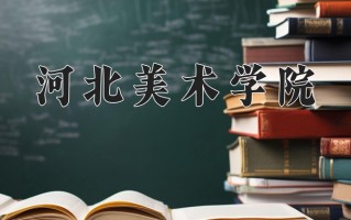 2024年河北美术学院录取分数线，新疆最低161分