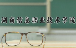 云南377分能上什么大学？附2025年可以报考的大学名单
