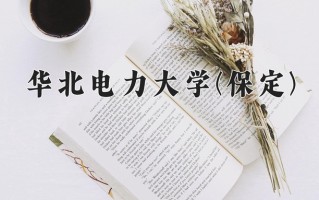 宁夏559分能上什么大学？附2025年可以报考的大学名单