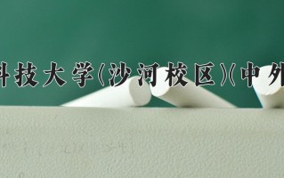2025年电子科技大学(沙河校区)(中外合作)在四川计划招生人数（附学费及专业录取分)
