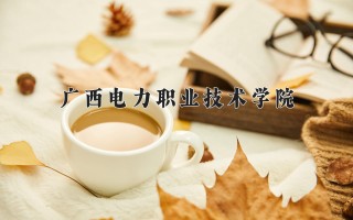 2024年广西电力职业技术学院录取分数线，河北最低399分