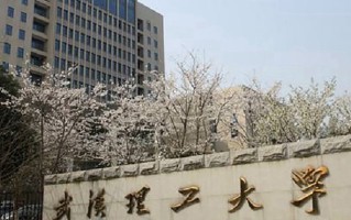 2024武汉理工大学录取分数线，重庆录取最低分571