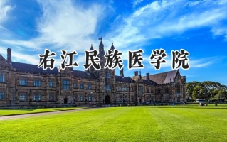 2024右江民族医学院录取分数线：河南最低450分