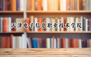 2024天津电子信息职业技术学院录取分数线：山西最低369分