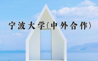 2025年宁波大学(中外合作)在四川计划招生人数（附学费及专业录取分)