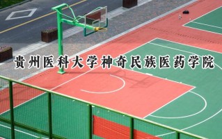 2024贵州医科大学神奇民族医药学院录取分数线：河南最低512分