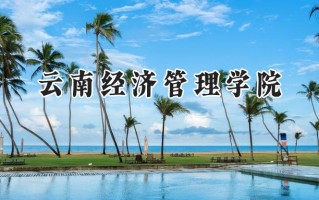 云南经济管理学院2024在浙江录取分数线是多少？最低323分/最高547分