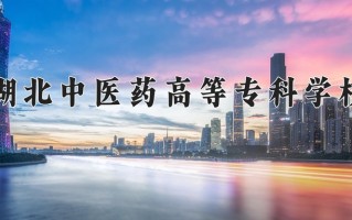 2025年湖北中医药高等专科学校在四川计划招生人数（附学费及专业录取分)