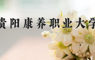 2024年贵阳康养职业大学录取分数线，河北最低491分