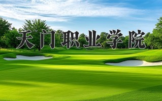 2025年天门职业学院在四川计划招生人数（附学费及专业录取分)