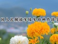 2024中国人民解放军陆军特种作战学院录取分数线：江苏最低575分