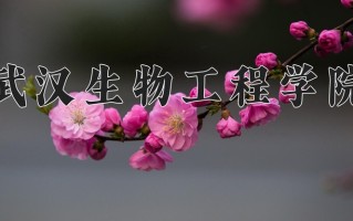 2025年陕西379分左右能报的大学名单