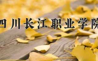 辽宁考生多少分能上四川长江职业学院？2025最低198分