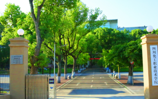 四川化工职业技术学院2024年在各省录取最低分及位次一览（2024年最新版）