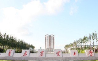 青岛农业大学2024年各学科排名一览表！附教育部评级比例