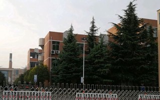 青海290分能上什么好大学？附2025年可以报考的大学名单
