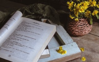宁夏2025年新高考投档模式是怎样的？顺序志愿和平行志愿投档