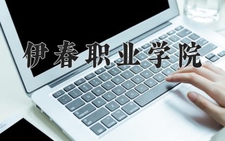 2025年伊春职业学院在四川计划招生人数（附学费及专业录取分)