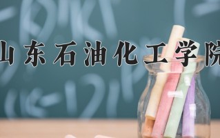 2024山东石油化工学院录取分数线：浙江最低498分