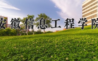 安徽信息工程学院最厉害的专业-2024安徽信息工程学院最好专业