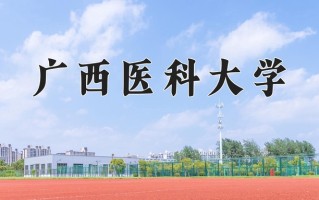 辽宁考生多少分能上广西医科大学？2025最低405分