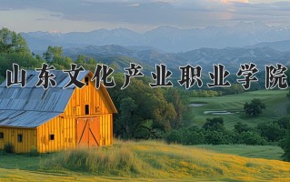 2024年山东文化产业职业学院招生章程，附办学层次和录取规则
