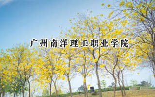 广州南洋理工职业学院2024在青海录取分数线是多少？最低211分/最高272分