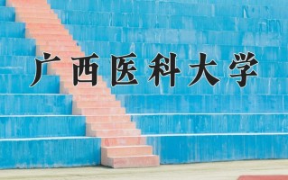 广西医科大学最厉害的专业-2024广西医科大学最好专业