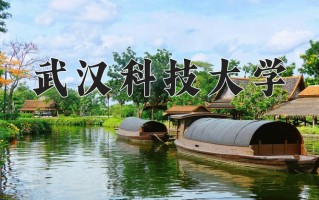 辽宁考生多少分能上武汉科技大学？2025最低594分