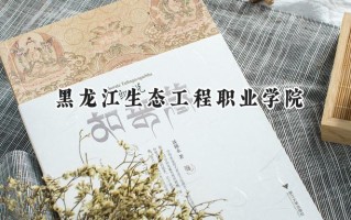 黑龙江生态工程职业学院2024在内蒙古录取分数线是多少？最低199分/最高336分