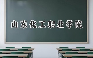 山东化工职业学院2024在江苏录取分数线是多少？最低323分/最高402分