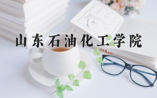 2024年山东石油化工学院录取分数线，河北最低503分