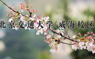 辽宁考生多少分能上北京交通大学(威海校区)？2025最低584分