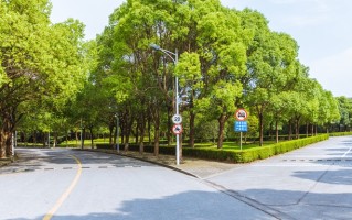 2025河北省民办大学十强排名揭晓，附校友会最新十强榜单
