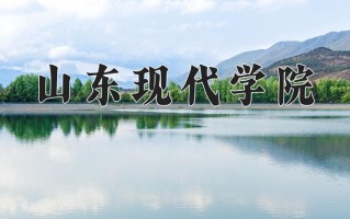 辽宁考生多少分能上山东现代学院？2025最低393分