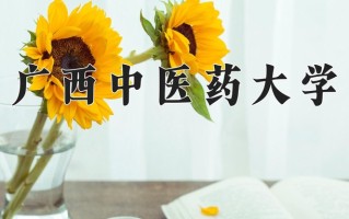 广西中医药大学全国排名和最强专业解析
